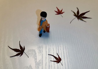 银杏