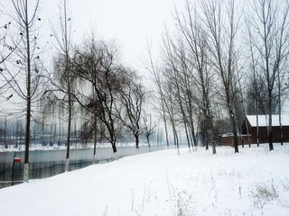 20140207_103855_