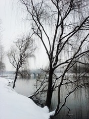 20140207_104232_