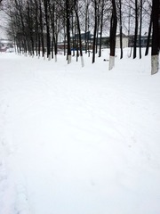 20140207_104503_