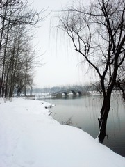 20140207_104517_