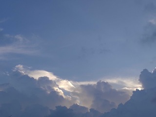 1000006524