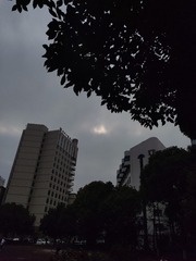 1000135164