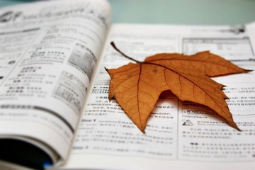 梧桐叶