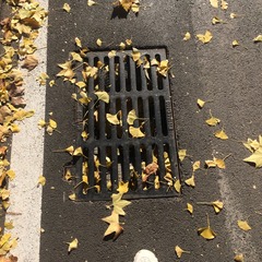 497539