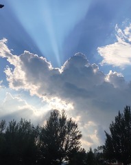 126506