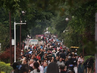 158082