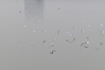 1000174568