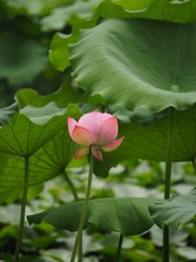 001