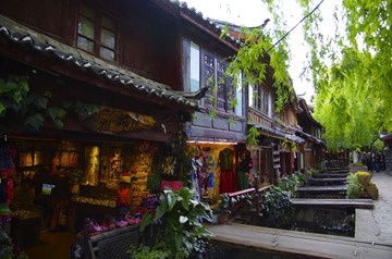 IMGP3776.JPG