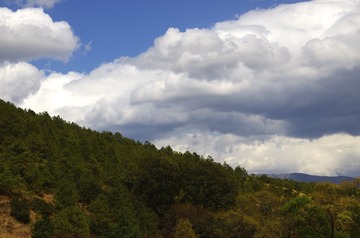 IMGP4424.JPG