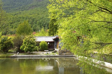 IMGP4425.JPG