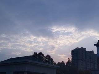 1503461