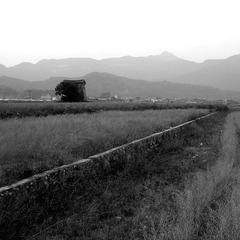 山重村5