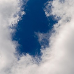 1001006529