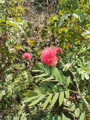 IMG20240210113856_BURST001
