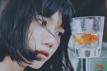 1871256
