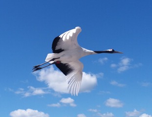 3579
