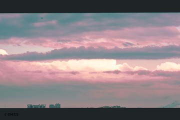 1000118828