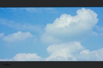 1000118847