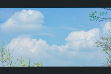 1000118821