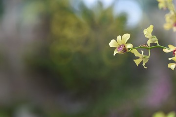 609305