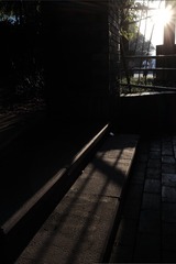 289646