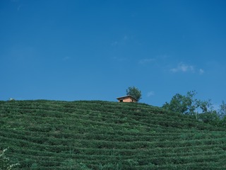 285863