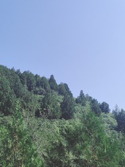 1000011648