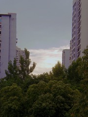 505438