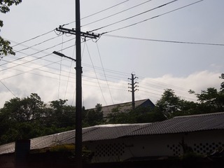 503569