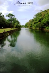 IMG_0191.jpg
