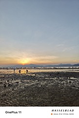 1000008237