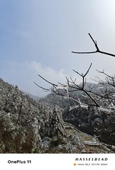1000071616