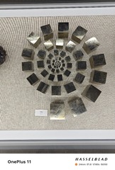 1000070211