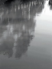 1431438