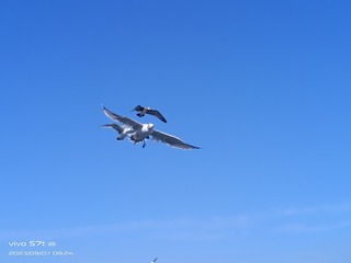 321801