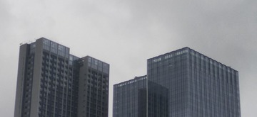 2644637