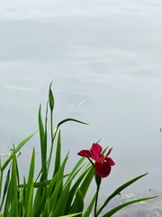 1000013545