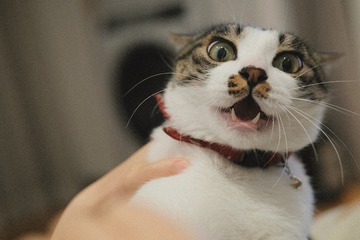 983874