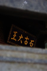 1000167043