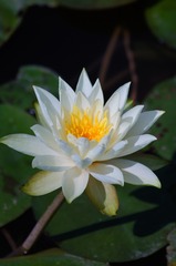 1000169766