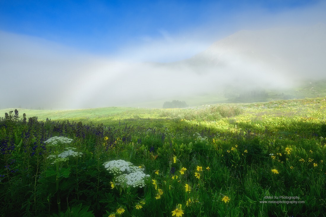这是一个奇妙的清晨，雾散了又来，日出之后还带来了雾虹。彩虹经常见，雾虹我还是第一次见，而且是在野花盛开的草原上。摄于科罗拉多。