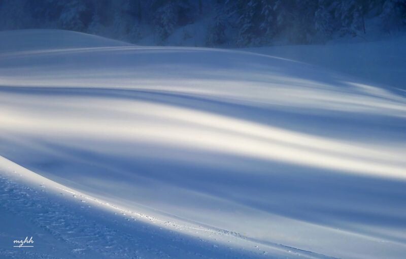 雪之韵<br />
窗外纷飞的雪让我想起了几年前拍的这张片子。