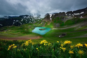 太阳花与太阳岛