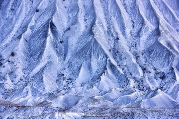 雪之画作