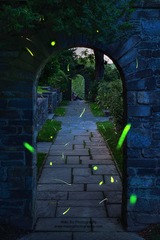 萤火点点