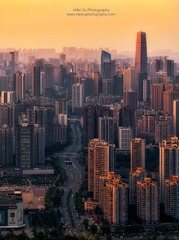 重庆森林