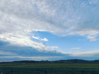 1000582147