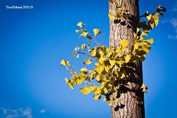 IMG_9143